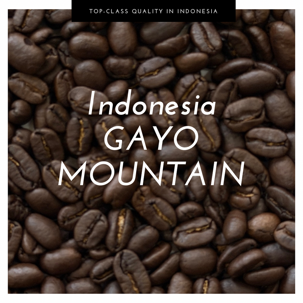 Straight Coffee / ストレート コーヒー – YASUNAGA COFFEE ONLINE STORE